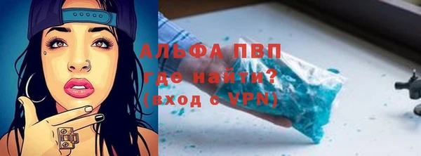PSILOCYBIN Богородицк