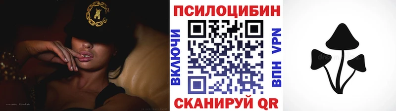 Псилоцибиновые грибы Psilocybe  Мончегорск 